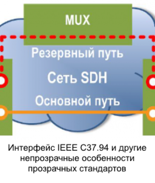 Видеозапись вебинара 